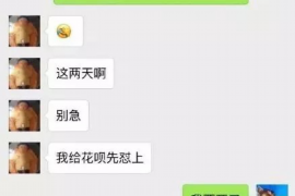 陵水债务清欠服务